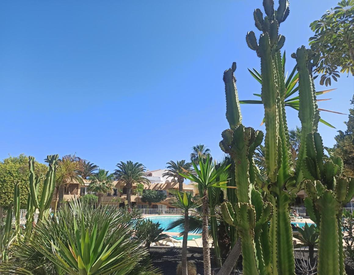Elrincondesara Appartement Corralejo Buitenkant foto