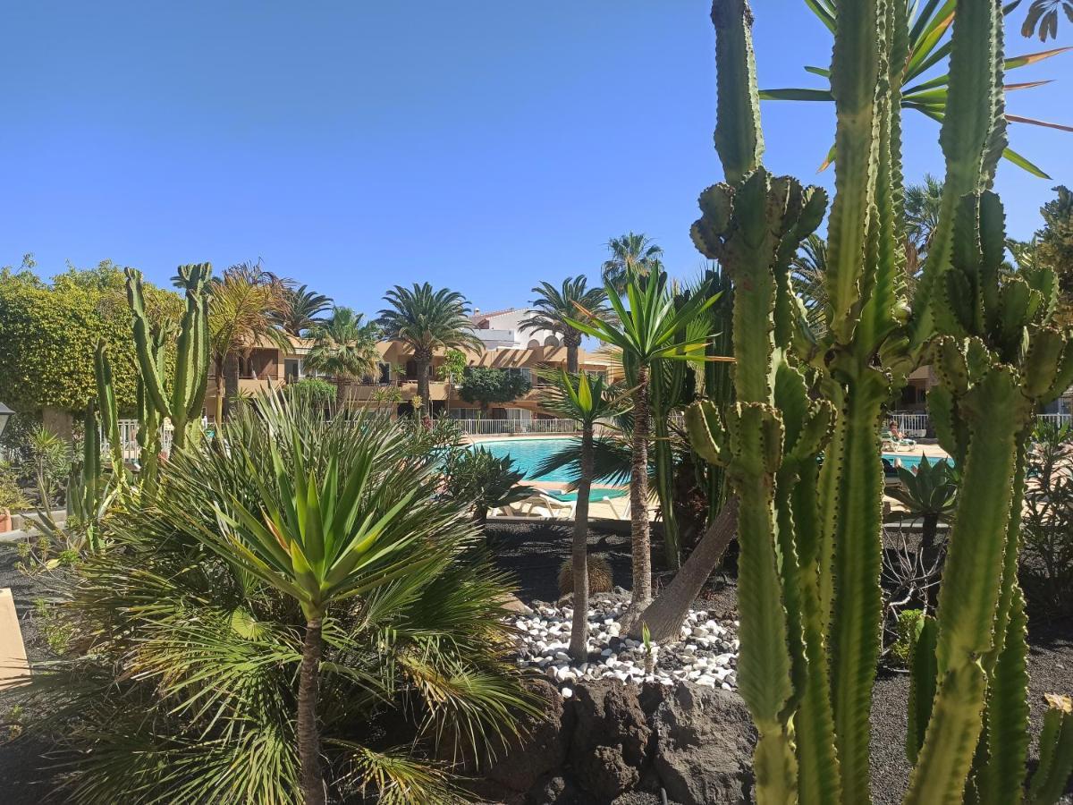Elrincondesara Appartement Corralejo Buitenkant foto